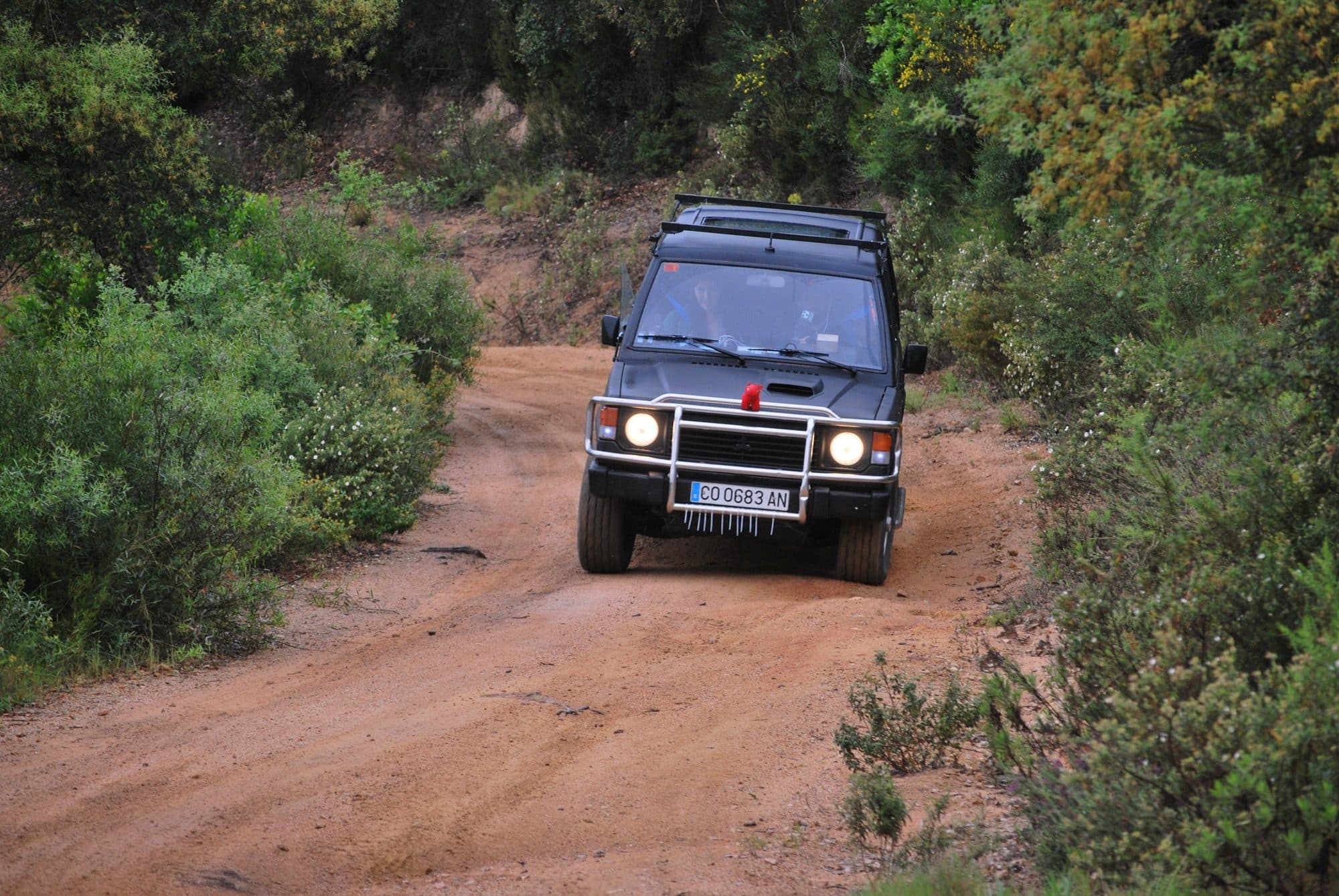 El Pajero entre la vegetación con los faros encendidos